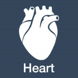 The Heart in Traditional Chinese Medicine